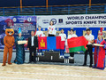 ЧиП МИра 25