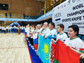 Чип мира (4)